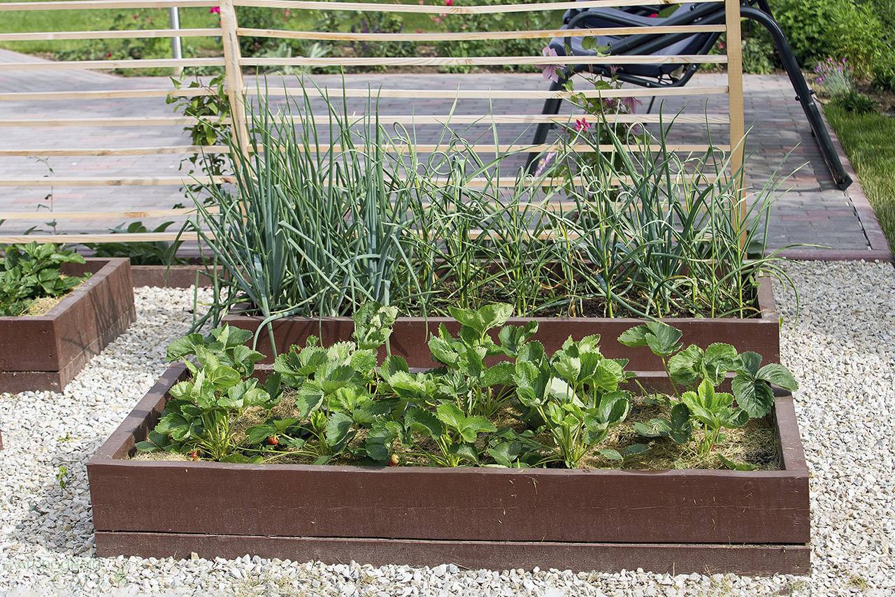 Проект Крекшино